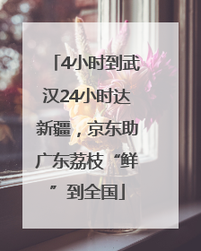 4小时到武汉24小时达新疆，京东助广东荔枝“鲜”到全国