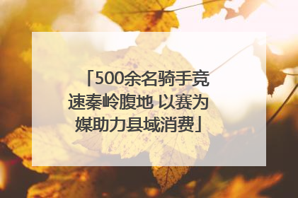 500余名骑手竞速秦岭腹地 以赛为媒助力县域消费