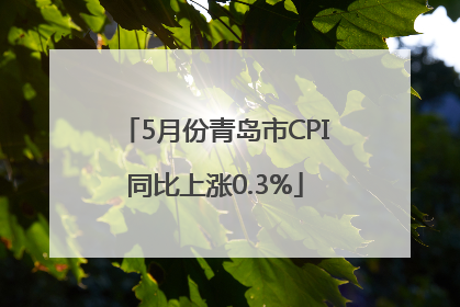 5月份青岛市CPI同比上涨0.3%