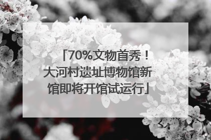 70%文物首秀！大河村遗址博物馆新馆即将开馆试运行