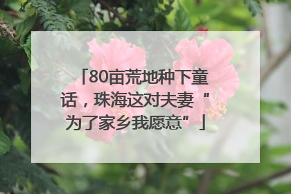 80亩荒地种下童话,珠海这对夫妻“为了家乡我愿意”