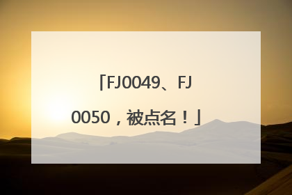 FJ0049、FJ0050，被点名！